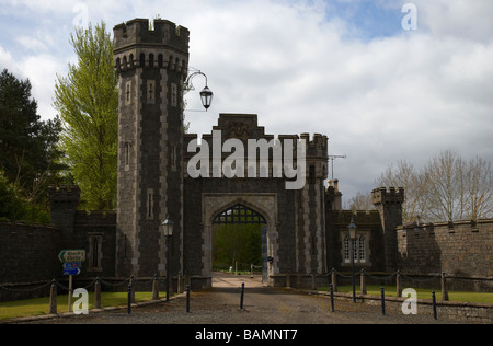 Galant, Shanes Castle Randalstown County Antrim-Nordirland Vereinigtes Königreich Stockfoto