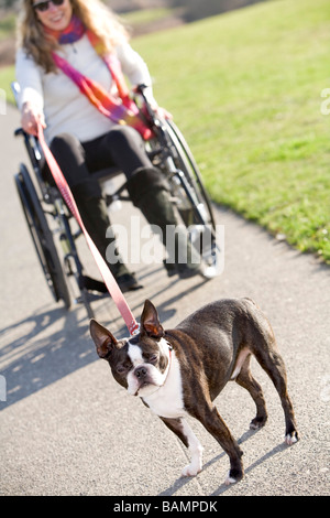 Frau im Rollstuhl, die mit ihrem Hund spazieren Stockfoto