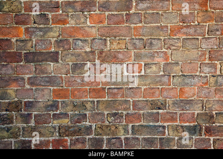 Ziegelmauer Stockfoto