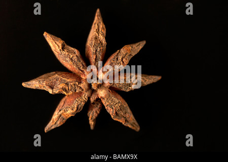 Ein Stern-Anis Stockfoto