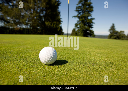 Golf-Ball auf dem Grün Stockfoto