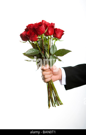 Verschenken ein Dutzend Rosen Stockfoto