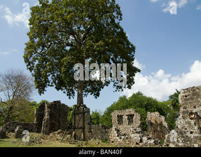 Panama.Panama Stadt. Panama La Vieja Ruinen. Stockfoto