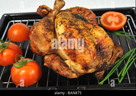 Brathähnchen Sie frisch aus dem Ofen mit gebratenen Tomaten und Schnittlauch. Stockfoto