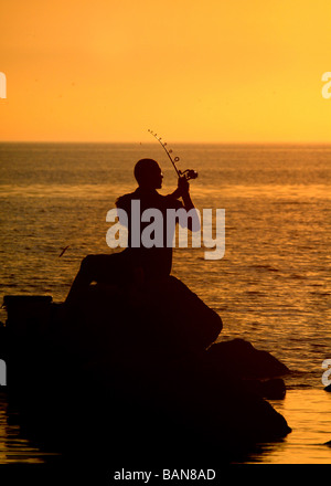 Fischer Crystal River, Florida Stockfoto