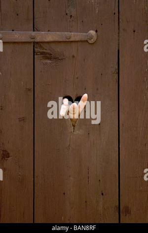 Herz-Ausschnitt in einem alten closetdoor Stockfoto