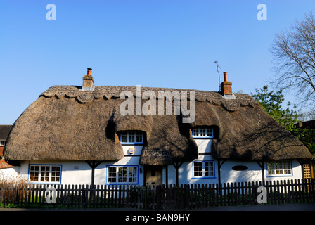 Traditionellen Reetdachhaus in der Nähe von Monxton Wiltshire England UK Stockfoto