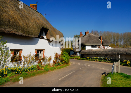 Traditionelle strohgedeckten Häuser auf breite Straße in der Nähe von Monxton Wiltshire England UK Stockfoto