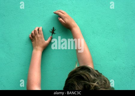 kleiner Junge versucht, fangen einen Gecko kriechen auf einer Wand, Tropeninsel, Nassau, Bahamas Stockfoto