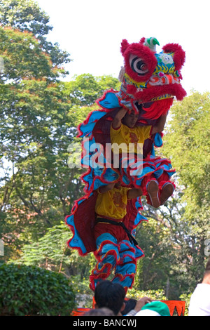 Vietnamesische Drachentanz während Tet Lunar New Year Feierlichkeiten in Ho-Chi-Minh-Stadt-Vietnam Stockfoto