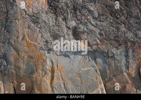 Details der Agawa Rock mit 35 Piktogramme, Ufer des Lake Superior Provincial Park, Ontario Stockfoto