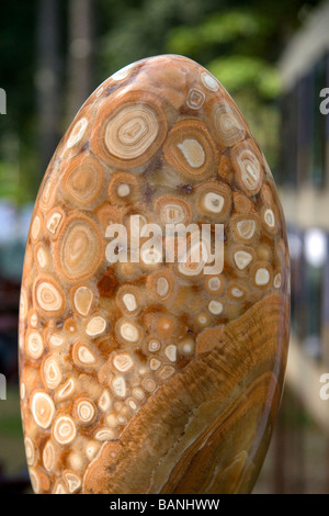 Eiförmigen Pisolite auf dem Display an der Nguyen Hue Boulevard in Ho-Chi-Minh-Stadt-Vietnam Stockfoto