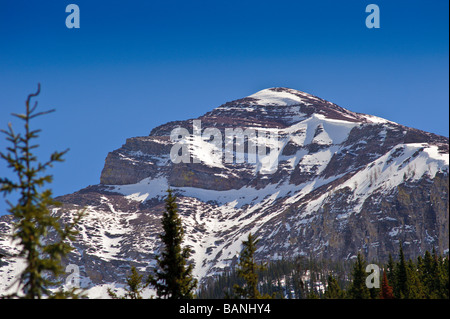 Berg auf dem Akamina Parkway auf dem Weg zum Cameron Lake in Waterton Nationalpark Alberta Kanada Stockfoto