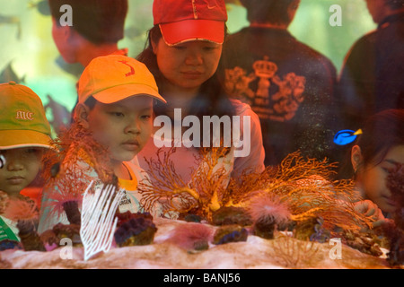 Vietnamesische Kinder anzeigen Fische in einem Becken auf dem Display an der Nguyen Hue Boulevard Flower Show in Ho-Chi-Minh-Stadt-Vietnam Stockfoto