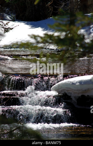 Cameron Creek neben dem Akamina Parkway gonna Cameron Lake in Waterton Nationalpark Alberta Kanada Stockfoto