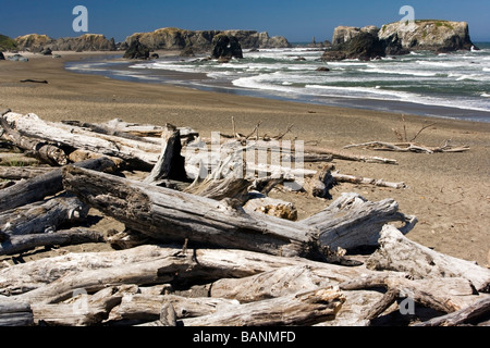 Treibholz am Strand von Bandon - Bandon, Oregon Stockfoto