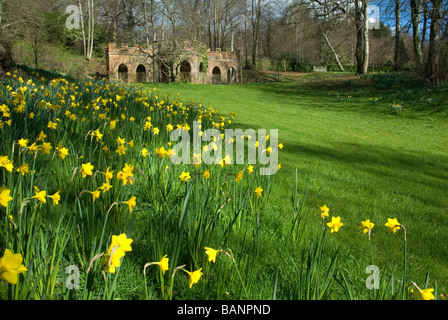 Frühling in den Gärten im Powderham Castle, Devon Stockfoto