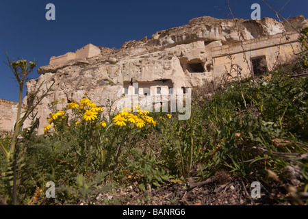 Gelbe Wildblumen vor alten Höhle Häuser in Cappadocia Türkei in der Nähe von Göreme Stockfoto