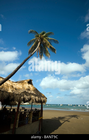 strohgedeckten Zimmer Restaurant am Strand San Juan del Sur nicaragua Stockfoto