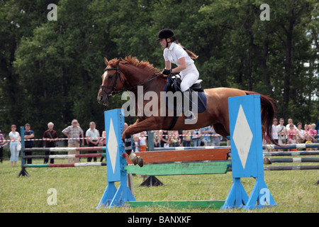 Pferdesport Jumper gefangen in der Mitte springen mit Gras- und grünen Bäumen im Hintergrund Stockfoto