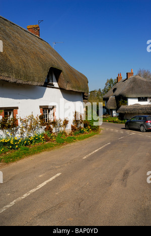 Traditionelle strohgedeckten Häuser auf breite Straße in der Nähe von Monxton Wiltshire England UK Stockfoto