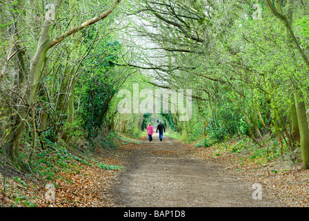 Zwei Menschen, die zu Fuß entlang einer Landstraße Nr Wheathampstead Hertfordshire UK Stockfoto