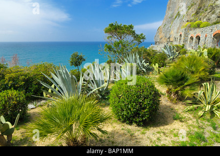 Ein kleiner Park durch die Gallerie auf der Via del Amore zwischen den Städten von Manarola und Riomaggiore, Cinque Terre, Ligurien, Italien. Stockfoto