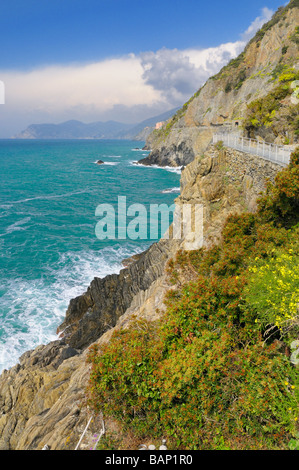 Blick von der Via del Amore (Via Dell' Amore) nach Manarola, Cinque Terre, Ligurien, Italien. Stockfoto