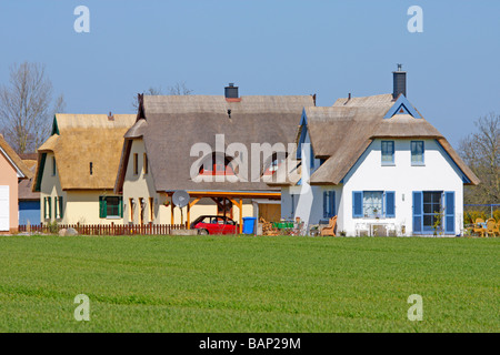 moderne strohgedeckten Häuser in Mursewiek, Insel Rügen, Mecklenburg Vorpommern, Norddeutschland Stockfoto