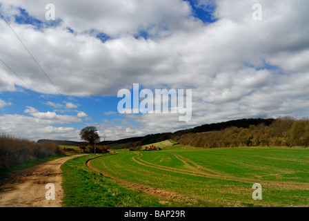 Ackerland in der Nähe von Chipps Hill im Chilterns Buckinghamshire England UK Stockfoto