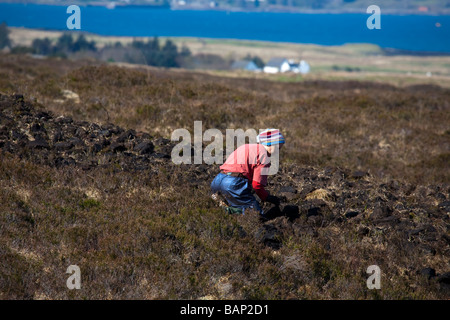 Schottische Frau schneidet und erntet Torf für Brennstoff. Ein Torfrauthäcksler auf Torffeldern, Isle of Sky, Schottland, Großbritannien Stockfoto