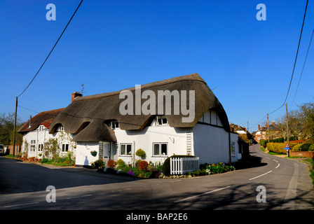 Traditionellen Reetdachhaus in der Nähe von Monxton Wiltshire England UK Stockfoto