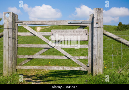 Tor zum Dewpond in der Nähe von Chanctonbury, West Sussex, UK Stockfoto