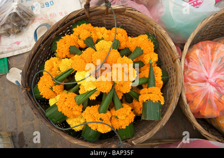 Ein Korb mit Banane Blatt Kegel und Ringelblumen als Tempel Angebote zum Verkauf auf Markt Prabang Laos Stockfoto