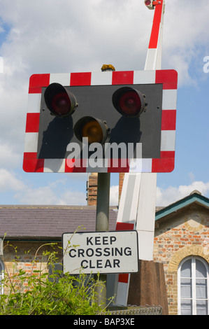 Eisenbahn Bahnübergang Warnung leuchtet und halten Sie überqueren Clear Straßenschild Stockfoto