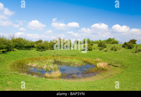 Dewpond in der Nähe von Chanctonbury, West Sussex, UK Stockfoto