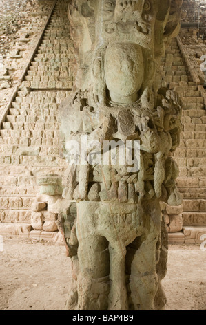 Copan Ruinas Maya archäologischen Park, Honduras. Stockfoto