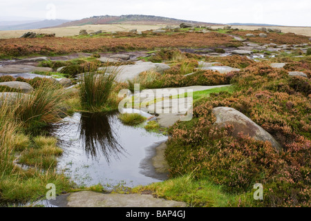 Ansicht-Looking in Richtung Stanage Edge von oben Higger Tor South Yorkshire England Großbritannien Uk Stockfoto