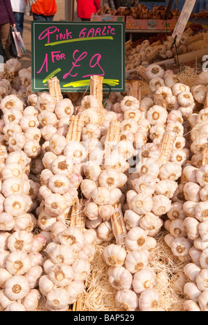 Rosa Knoblauch für den Verkauf auf einem französischen Marktstand in Norwich, Norfolk, Großbritannien Stockfoto