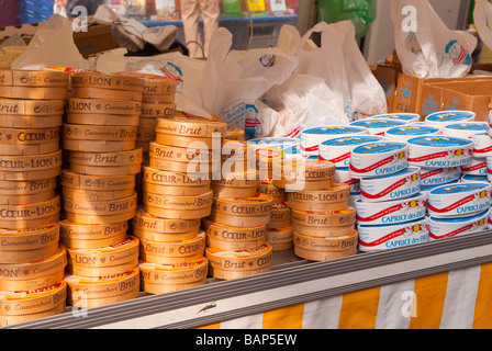 Französischer Käse für den Verkauf auf einem französischen Marktstand in Norwich, Norfolk, Großbritannien Stockfoto