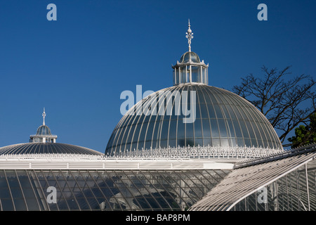 Dach Detail der Kuppel des schönen Kibble Palace Wahrzeichen, das Gewächshaus im Botanischen Garten in Glasgow, Schottland, Großbritannien Stockfoto