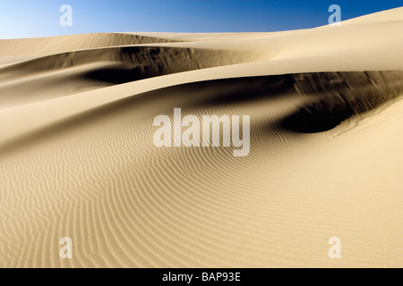 Dünen - Oregon Dunes National Recreation Area - Reedsport, Oregon Stockfoto