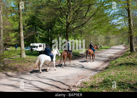 Drei Reiter in West Woods Marlborough Wiltshire Stockfoto