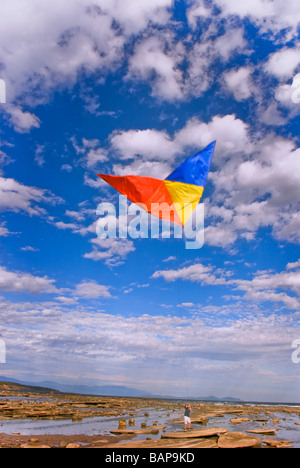 Drachen auf Sandpiper Beach Horby Island in British Columbia Kanada Stockfoto