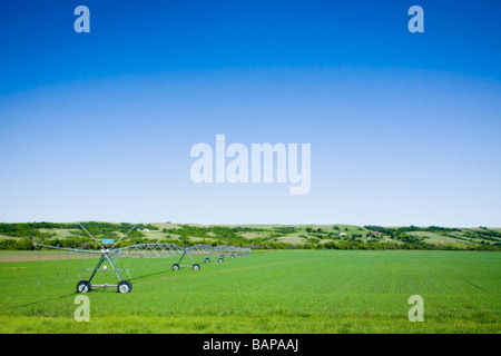 Bewässerung, Lumsden, Saskatchewan, Kanada Stockfoto