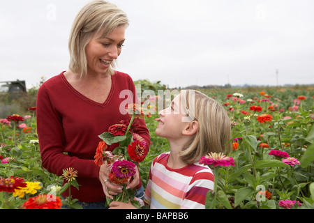 Mutter und Tochter in einem Feld der organischen Blumen, Ladner, British Columbia, Kanada Stockfoto