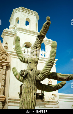 San Xavier del Bac Mission Tucson Arizona. Renovierung der Kirche. Ideal für Reise-Abenteuer-Religion-Tourismus. Saguaro-Kaktus. Stockfoto