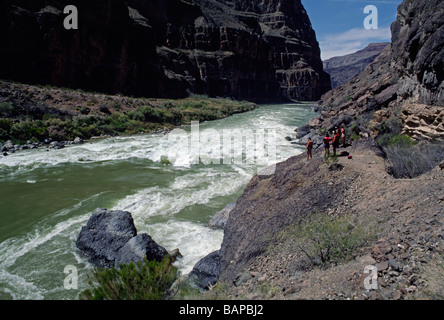 Scouting LAVA FALLS RAPID Klasse 10 eines der größten auf dem COLORADO RIVER GRAND CANYON NATIONAL PARK-ARIZONA Stockfoto