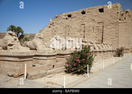 Die Allee der Rams, Karnak-Tempel des Gottes Amon, Luxor, Ägypten Stockfoto