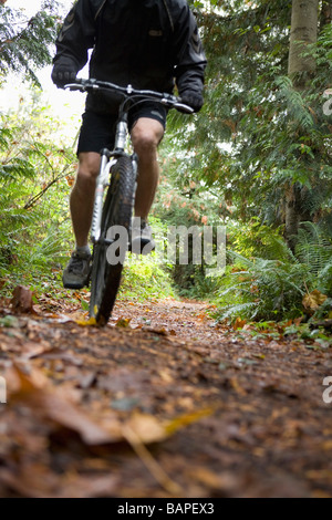 Männliche Radfahrer auf Mountainbike unterwegs im Stanley Park, Vancouver, BC Stockfoto